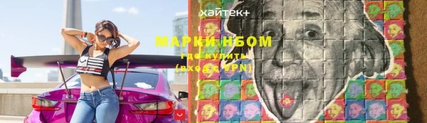 молекула духа Ладушкин
