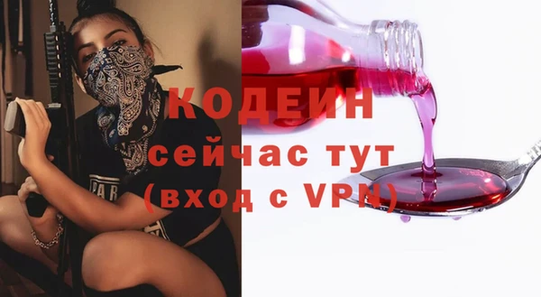 дмт Пестово