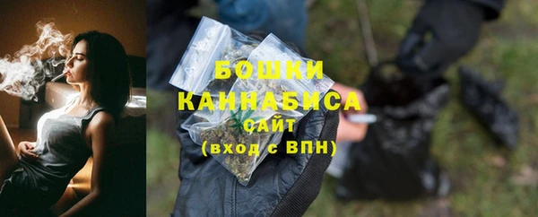 молекула духа Ладушкин