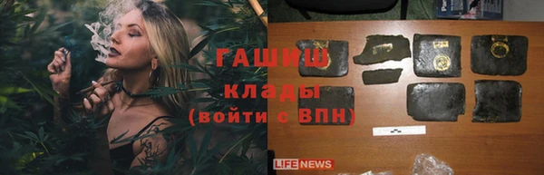 молекула духа Ладушкин