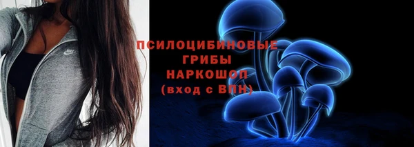 mdma Лагань