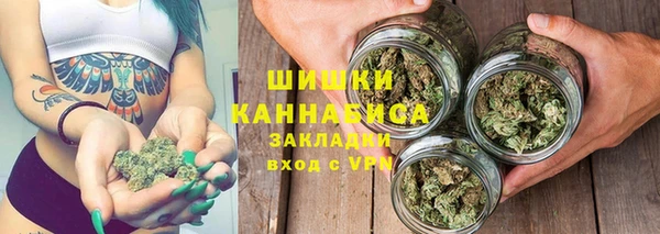 молекула духа Ладушкин