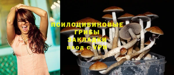 mdma Лагань