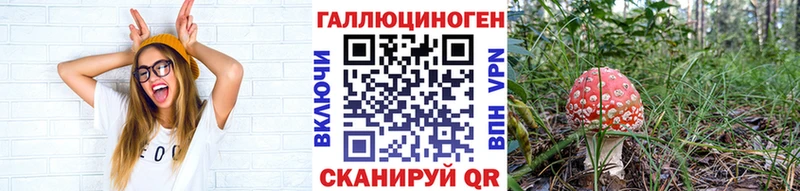 Галлюциногенные грибы GOLDEN TEACHER  Чегем 