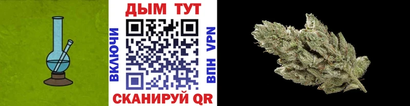 сколько стоит  Чегем  Канабис AK-47 